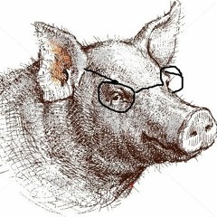 Igneous Pig