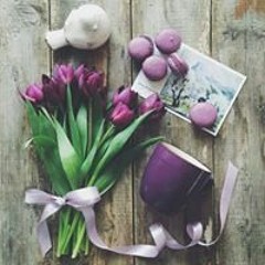 Fatima Taher