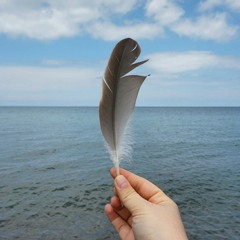 Travel Within | Podcast