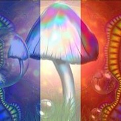 Just'un Mushroom