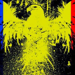 Buboaca Alexandru Andrei