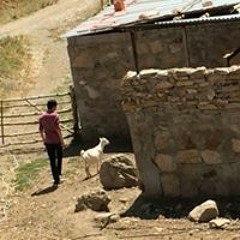 KARIŞIK