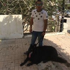 Magdy Mosalam