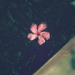 Amal Agha Al Nimer 1