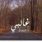 Asmaa Noor Eldin Ahmed