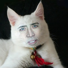 Beau Slappy Blumberg