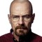 Walter White
