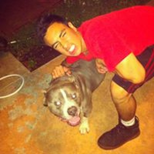 Stream Omar Gomez music Listen to songs, albums, playlists for free