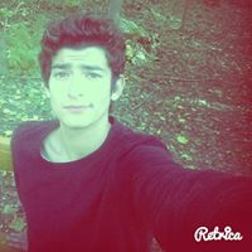 شيعي