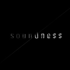 Soundness