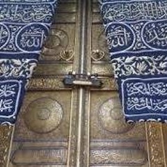 محمدالسيد أبوعجوه