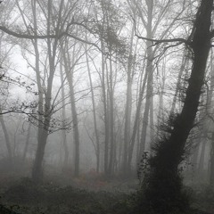 DeepDubing