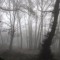 DeepDubing