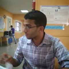 Mohamed Elsbaee