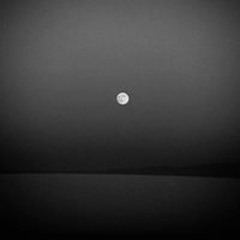 الشيخ/محمد عمران