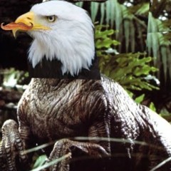 Eaglebaconraptor