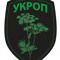 Алексей Песков