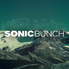 SONIC BUNCH