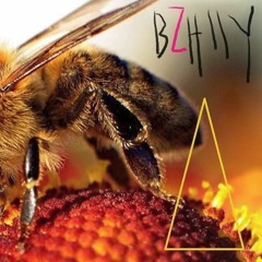 BzzHlly