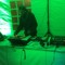 Dj Geler