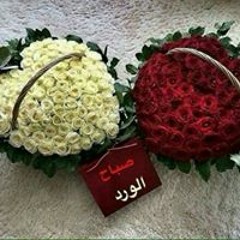عامر عطايا