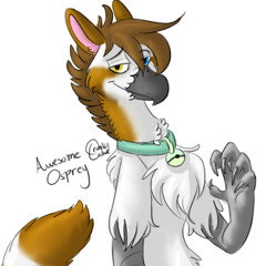 Aile Osprey