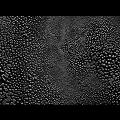 Raw Data