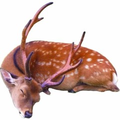 Patrick Wayne Attwell