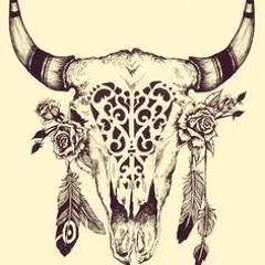 Gypsy bull