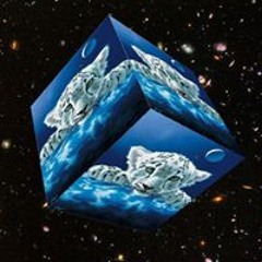 אוריאל בידני