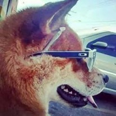 COMPLEXO DAS FAVELAS 3