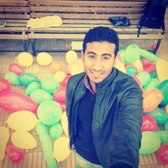 mahmoud sallam