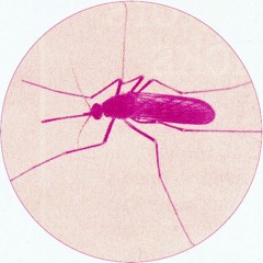 H. Sylvan