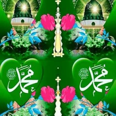 Zulfiqar Shahid