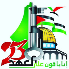 ‫علا عكارة‬‎