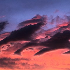 Dystopian Day Dreams