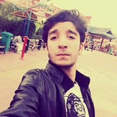 Abd Ullrahman T. Saber
