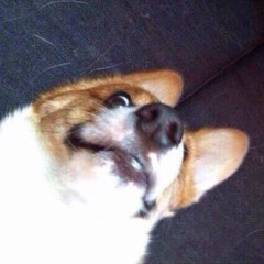 ЛАРД АДУВАН