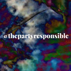 the party responsible