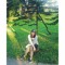 Bianca Borromeo