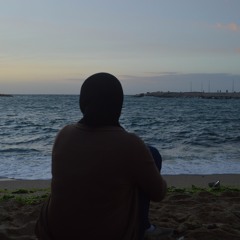 Naira M.Ali