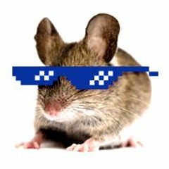 Pedro Le Mulot S Stream