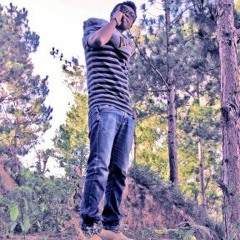 feef stonn