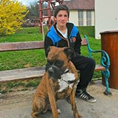 sssz