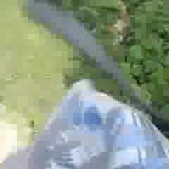 daniel.arantes