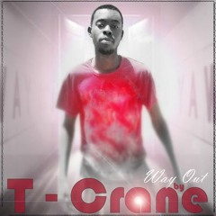 T crane