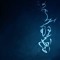 Mourjan