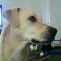 Dane07