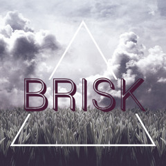 Brisk EDM