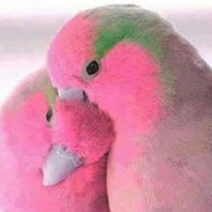 م